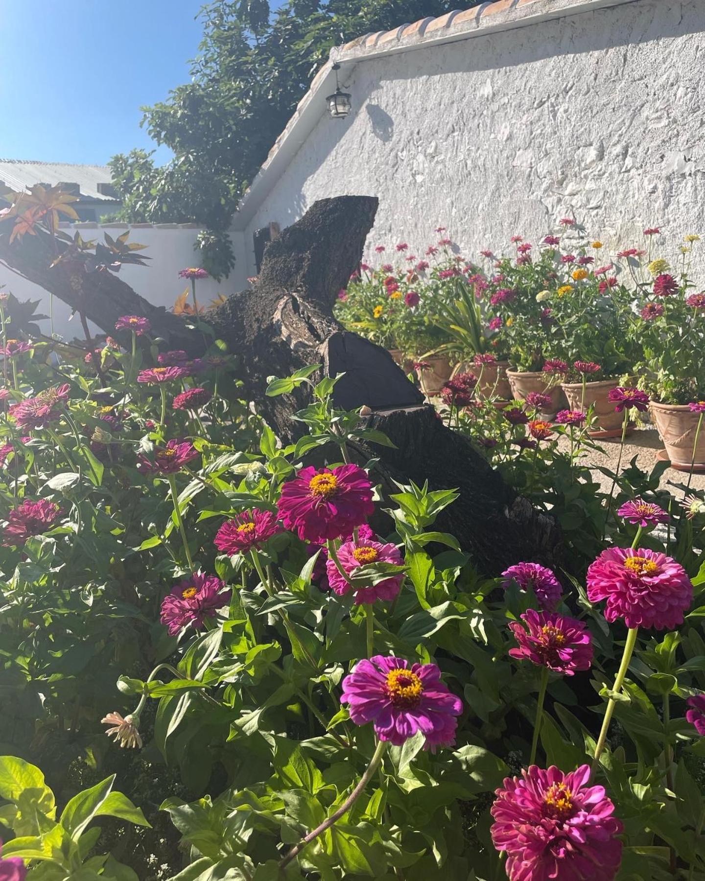 Cortijo El Prado Ll Villa Castril Luaran gambar